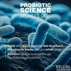 Ducray Kelual Squanorm Anti-Schuppen Shampoo trocken, 200 ml><noscript><img width=