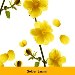 Dr. Loges dystoLoges Tropfen, 50 ml><noscript><img width=