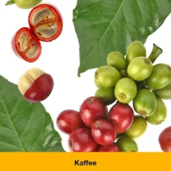 Dr. Loges dystoLoges Tropfen, 50 ml><noscript><img width=