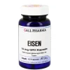 Hecht Pharma Eisen 14 mg GPH Kapseln, 60 St> Eisenversorgung