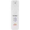 Eisspray, 100 ml