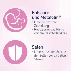 Elevit 1 Kinderwunsch & Schwangerschaft Tabletten, 1X60 St>Kinder Schwangerschaft|Kinderwunsch Tabletten