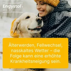 Engystol ® ad us. vet. Tabletten, 100 St> Biologische Heilmittel Heel Gmbh