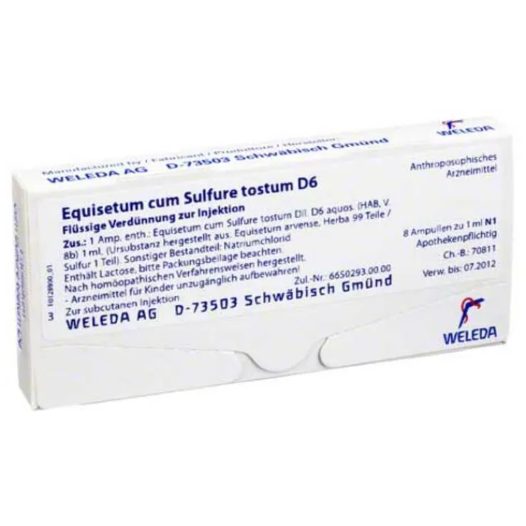 Equisetum cum Sulfure tostum D 6 Ampullen, 8X1 ml