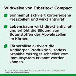 Esberitox ® Compact Bei Erkältungskrankheiten, 60 St><noscript><img width=