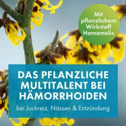FAKTU lind Hämorrhoidensalbe mit Hamamelis, 50 g