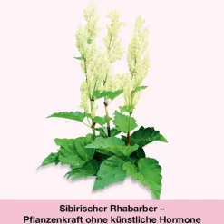 femiLoges Tabletten, 90 St