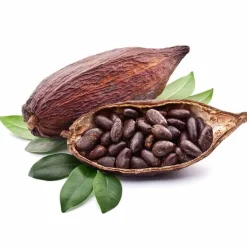 Fermentura Magnesium Tabletten, 60 St