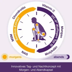 Dr. Loges Flexiloges Knorpel aktiv Kapseln, 120 St><noscript><img width=