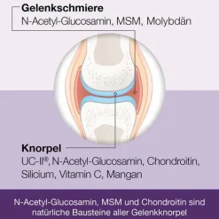 Dr. Loges Flexiloges Knorpel aktiv Kapseln, 120 St><noscript><img width=