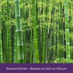 Dr. Loges Flexiloges Knorpel aktiv Kapseln, 120 St><noscript><img width=