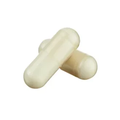 BjökoVit Folsäure Vegi-Kapseln, 60 St><noscript><img width=