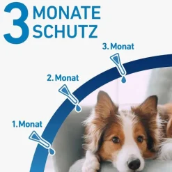 FRONTLINE® SPOT ON Hund S Lösung, 3 St