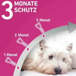 FRONTLINE TRI-ACT® gegen Zecke, Floh und fliegende Insekten bei Hunden (2-5kg), 3 St