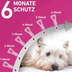 Frontline TRI-ACT® gegen Zecke, Floh und fliegende Insekten bei Hunden (5-10kg), 6 St><noscript><img width=