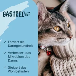 Gasteel Diät-Ergänzungsfuttermittel Kapseln für Hunde / Katzen, 50 St
