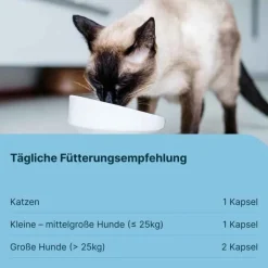 Gasteel Diät-Ergänzungsfuttermittel Kapseln für Hunde / Katzen, 50 St