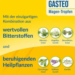 Gasteo Tropfen bei Magen-Darm-Beschwerden, 100 ml><noscript><img width=