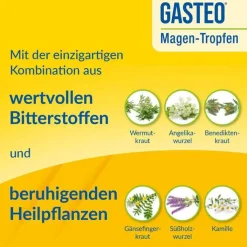 GASTEO Tropfen bei Magen-Darm-Beschwerden, 20 ml