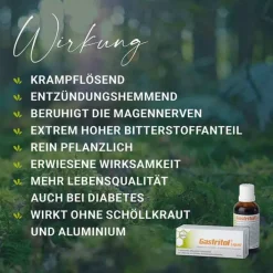 Gastritol ® Liquid Flüssigkeit zum Einnehmen, 20 ml><noscript><img width=