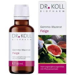 Gemmo Mazerat Feige Dr. Koll Ficus carica Tropfen, 50 ml