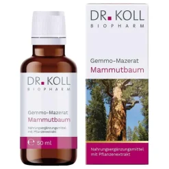 Dr. Koll Gemmo Mazerat Mammutbaum Sequoia gigantea, 50 ml> Gemmo Therapie