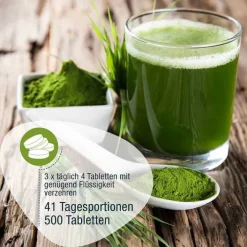 GSE Gerstengras 500 mg Bio Tabletten, 500 St><noscript><img width=