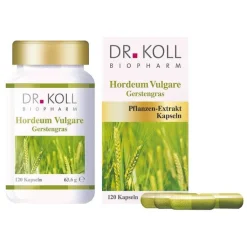 Gerstengras Hordeum vulgare Kapseln, 120 St