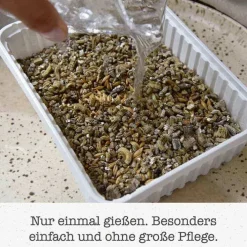 Gimpet Soft Gras für Katzen, 100 g><noscript><img width=