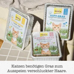Gimpet Soft Gras für Katzen, 100 g><noscript><img width=