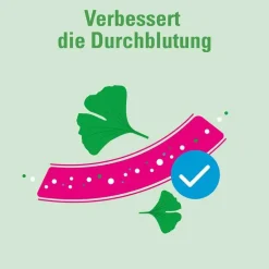 Ginkgo AbZ 120 mg Filmtabletten, 120 St