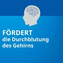 Ginkgo STADA® 40 mg Filmtabletten, 60 St