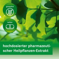 Heumann GINKGOVITAL 120 mg Filmtabletten, 200 St><noscript><img width=