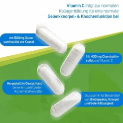 Avitale Glucosamin 500 mg + Chondroitin 400 mg Kapseln, 180 St> Glucosamin-Chondroitin