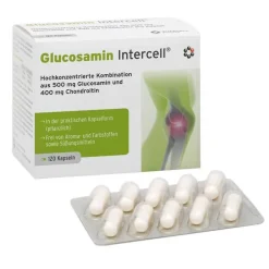 Intercell Glucosamin Kapseln, 120 St> Glucosamin-Chondroitin