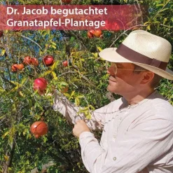 Dr. Jacobs Granatapfel Elixier Dr. Jacob`s, 500 ml><noscript><img width=