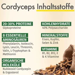 Green Naturals Cordyceps sinensis Kapseln, 180 St