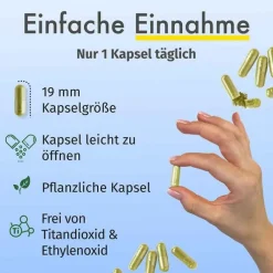 Green Naturals Jod aus Bio-Kelp 200 µg Kapseln, 365 St