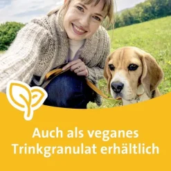 Grippostad C Hartkapseln bei Erkältung, 2x24 St