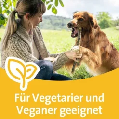 Grippostad C Stickpack bei Erkältung, 12 St><noscript><img width=