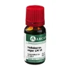 Helleborus Niger Arcana LM 6 Dilution, 10 ml