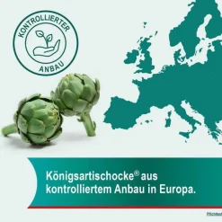 Hepar-SL ® 640 mg Filmtabletten, 20 St><noscript><img width=