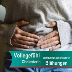 Hepar-SL ® 320 mg Hartkapseln, 100 St> Verdauung|Galle Medikamente