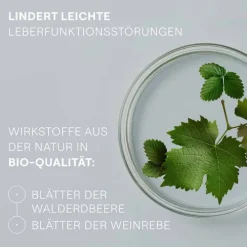 Weleda Hepatodoron Tabletten, 200 St><noscript><img width=