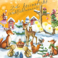 H&S Adventskalender Stern Filterbeutel, 24 St> Früchtetee