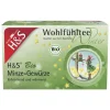 H&S Wintertee Bio Minze-Gewürze Filterbeutel, 20X2.0 g
