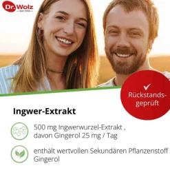 Ingwer Extrakt Dr. Wolz Kapseln, 120 St