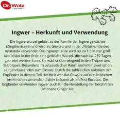 Ingwer Extrakt Dr. Wolz Kapseln, 120 St