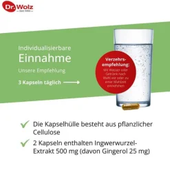 Ingwer Extrakt Dr. Wolz Kapseln, 120 St