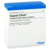 Injeel Chol Ampullen, 10 St